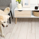 Petcube Play Smart Pet Camera with Interactive Laser Toy
